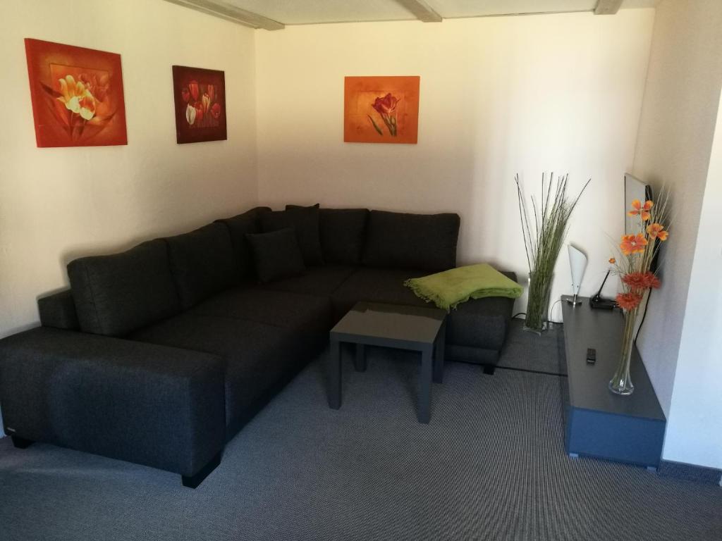 Elbhangzimmer Dresden - 18