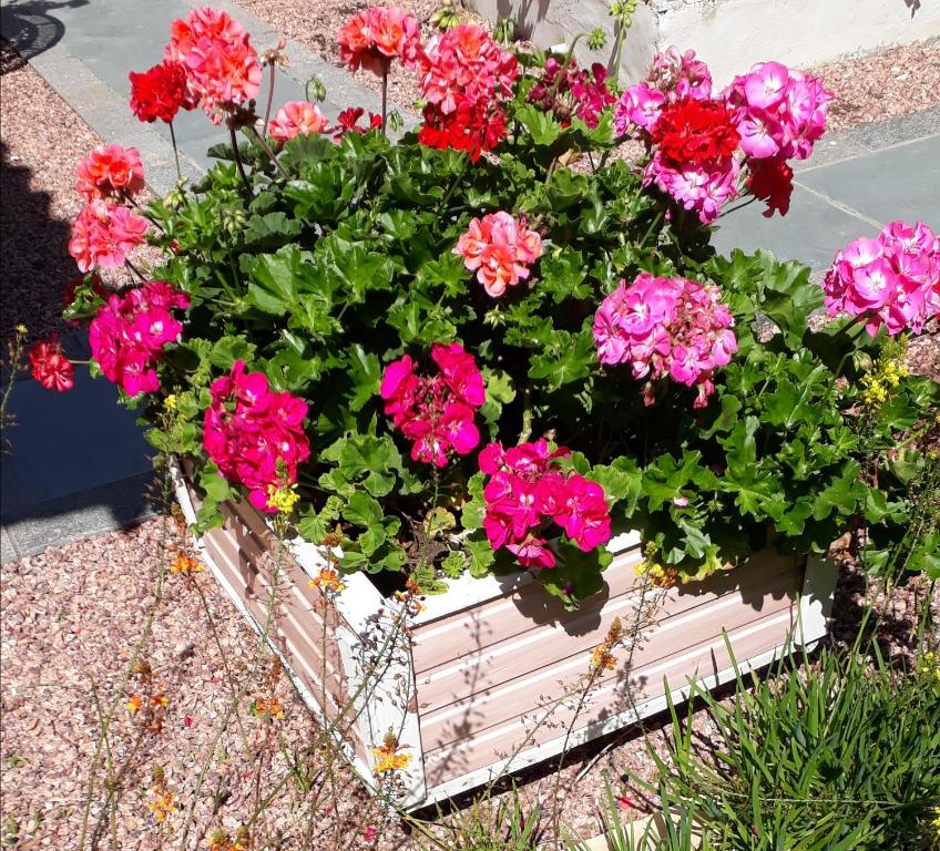  Acomodação RECANTO DAS FLORES