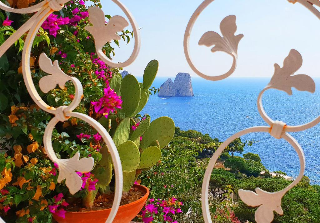 a view of the ocean from a garden with flowers at VILLA MARINA PICCOLA ai FARAGLIONI in Capri