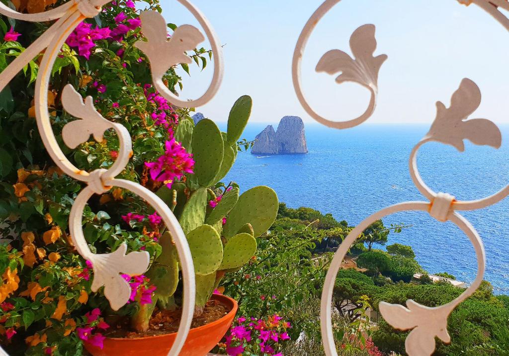 Táj Show holiday homes közelében