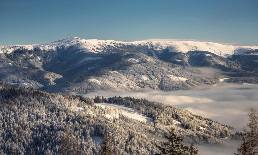 Príroda v okolí apartmánu