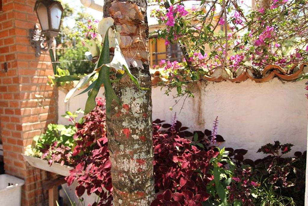  Casa com Piscina Exuberante