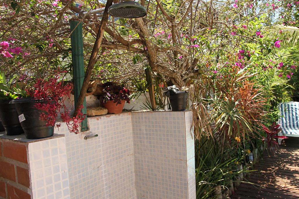  Casa com Piscina Exuberante
