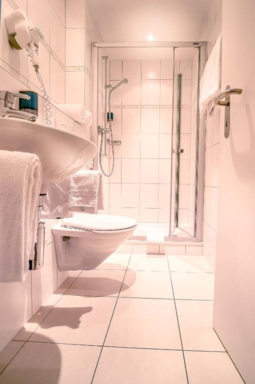 un bagno con doccia, WC e lavandino di Eiger Guesthouse a Mürren