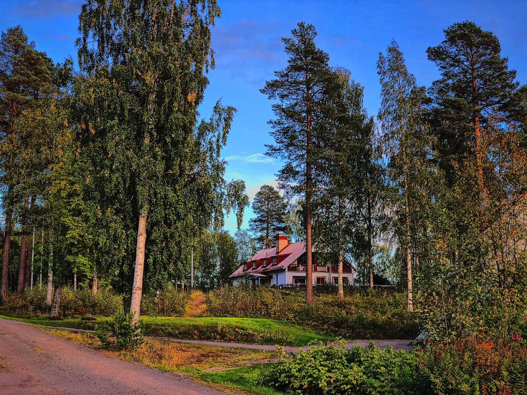 Fotografie z fotogalerie ubytování Vildmarks Lodge v destinaci Ytterhogdal