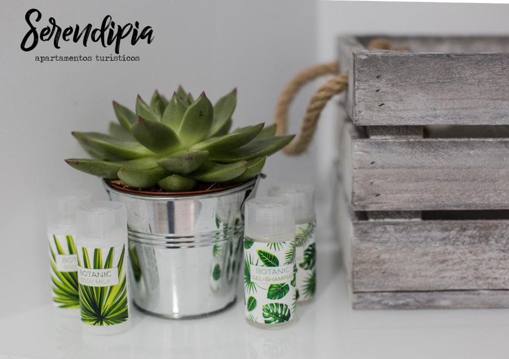 Serendipia San Justo - 3