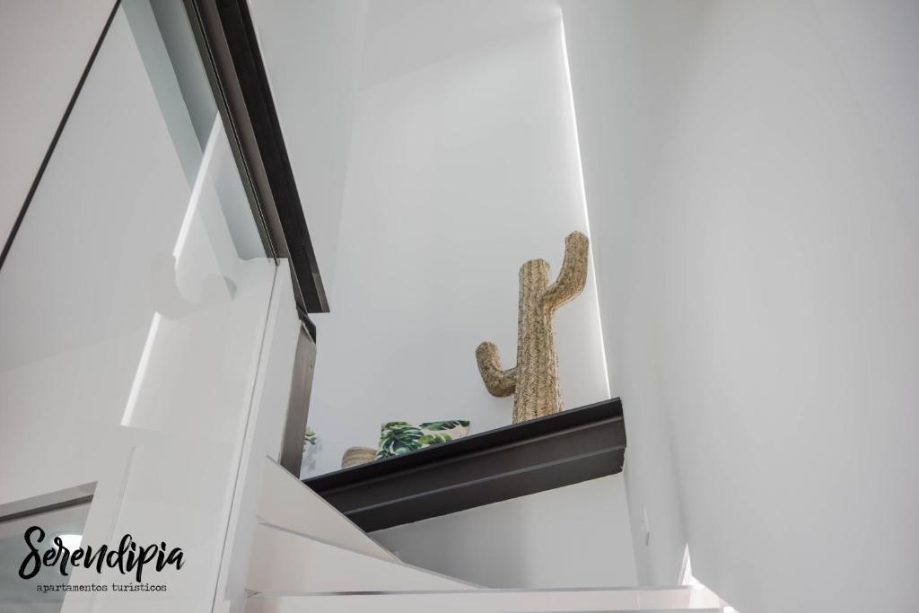 Serendipia San Justo - 15