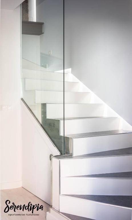 Serendipia San Justo - 16