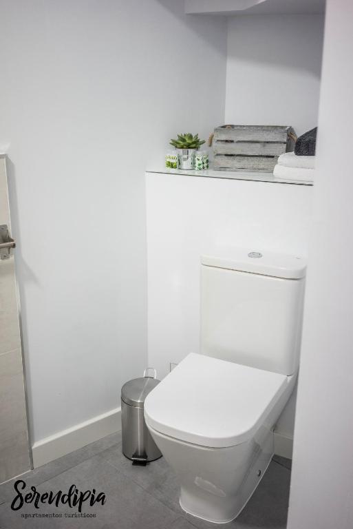 Serendipia San Justo - 19