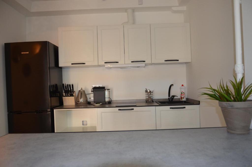 Kuchyň nebo kuchyňský kout v ubytování StanGret Hotel
