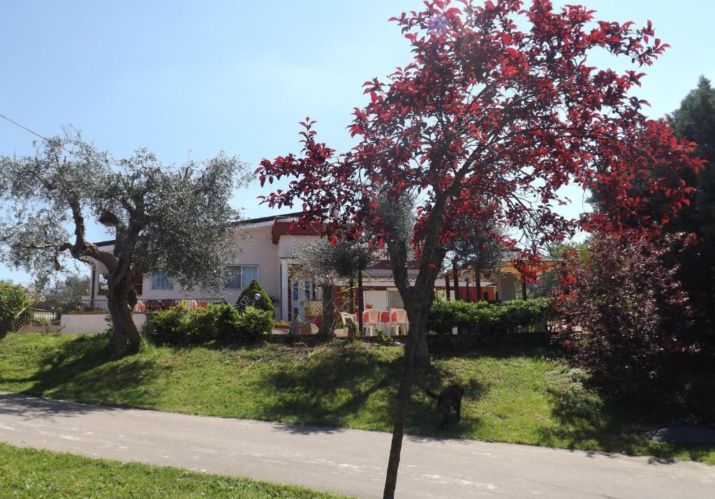 Zahrada ubytování B&B Villa Lena