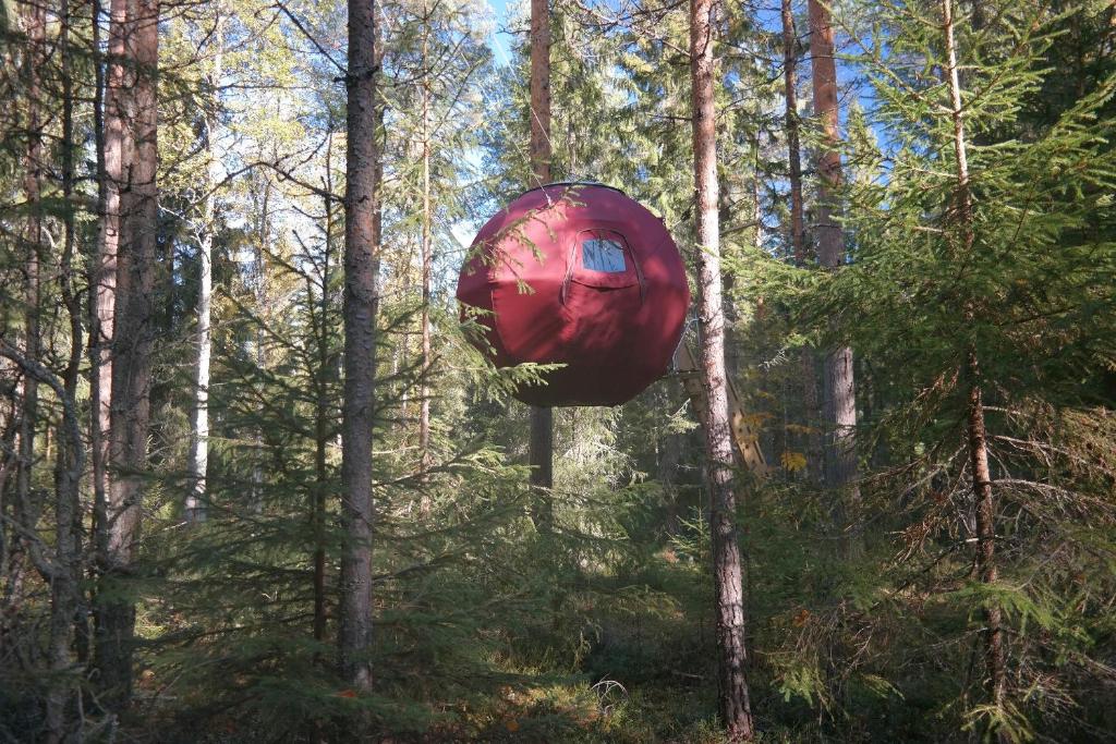 una tienda roja en medio de un bosque en Näsets Marcusgård, en Furudal