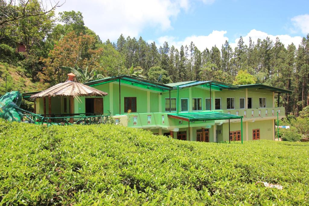 a green house on top of a grassy hill at Narra Homestay in Maskeliya