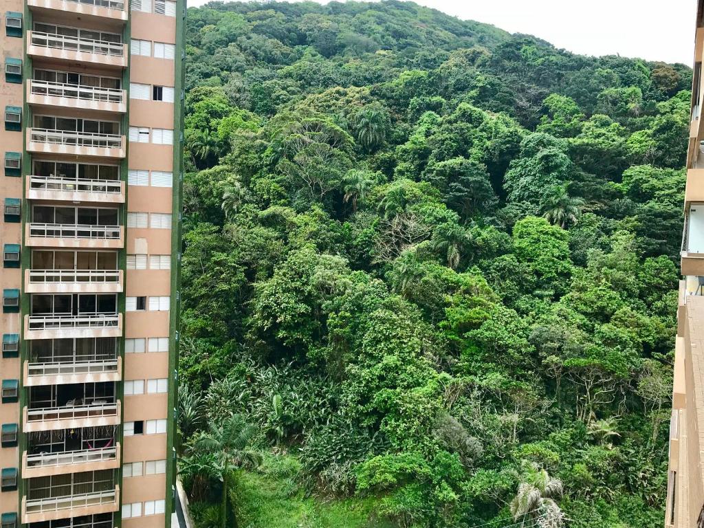  MLF63 Apartamento no Morro do Maluf