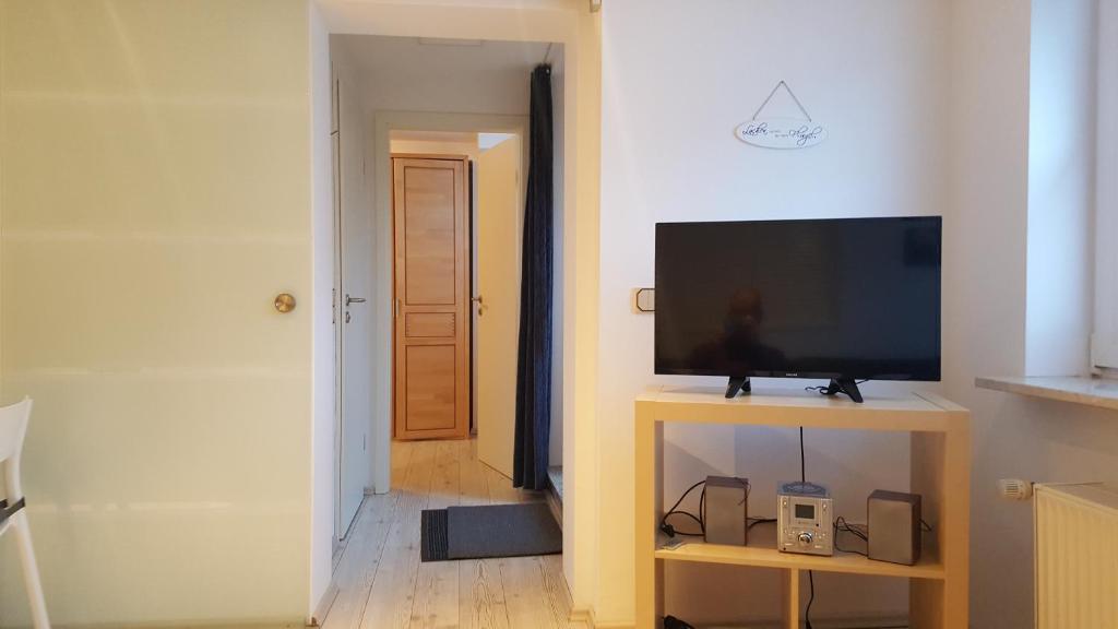 TV a/nebo společenská místnost v ubytování Apartment Feldmann
