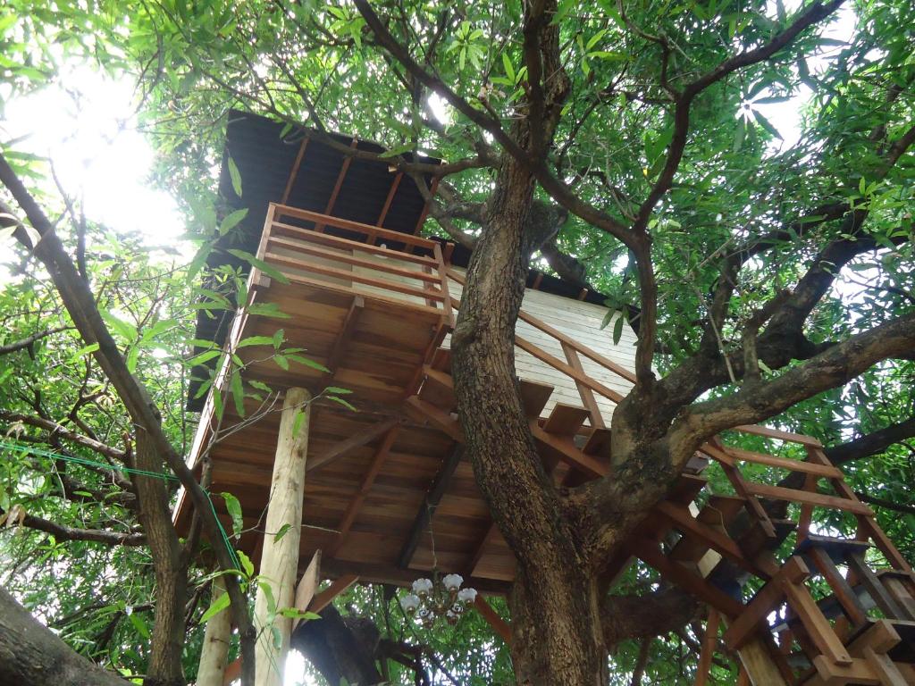 una casa en un árbol en Casa na Árvore, en Salvador