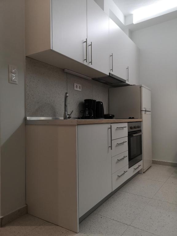 Kuchyň nebo kuchyňský kout v ubytování Dimitris House 7