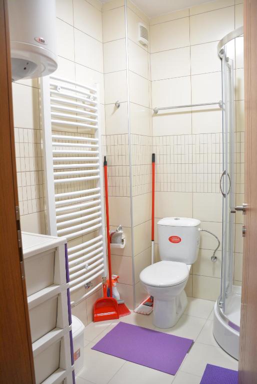 Koupelna v ubytování Apartman Radmanovac