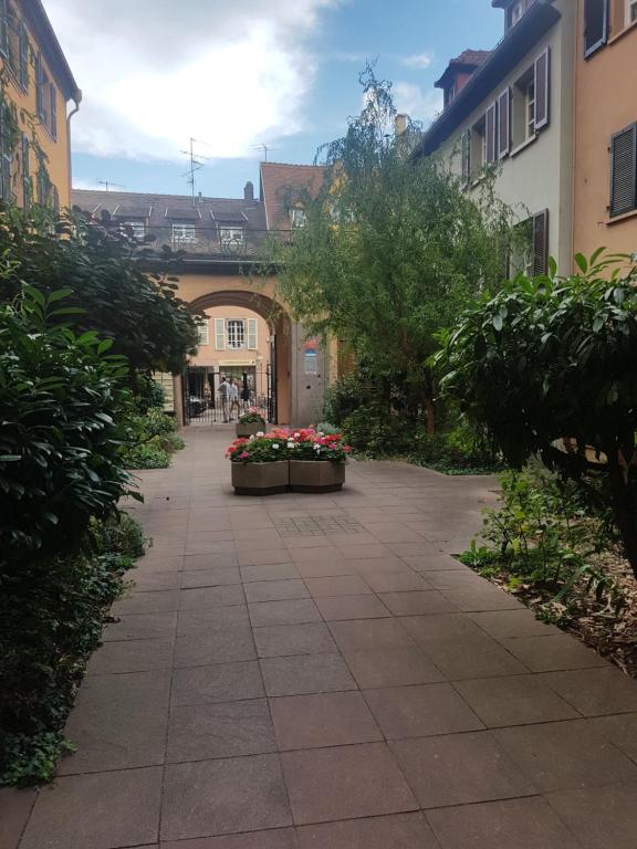 Appartement avec garage Colmar Centre Historique – photo 29