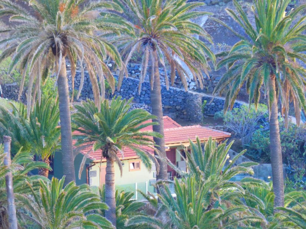 una casa en medio de palmeras en El Pirguan Holiday House, your oasis in La Gomera, en Vallehermoso