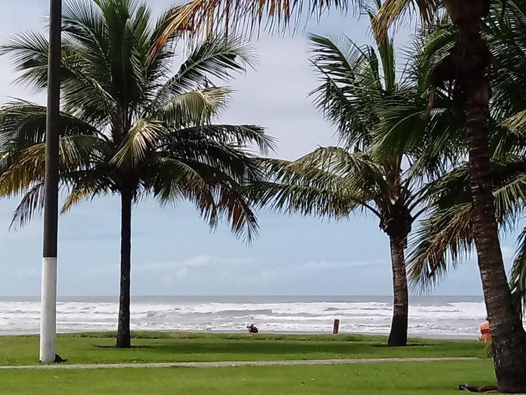 two palm trees on a beach with the ocean at apartamento em bertioga in Bertioga