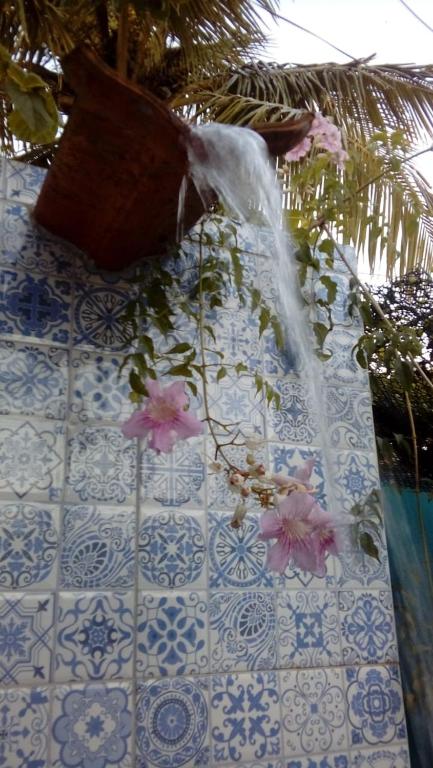  Casa para alugar Itanhaém