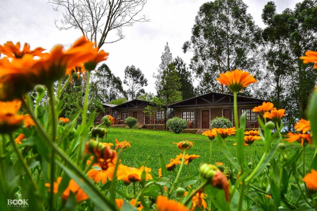 a field of orange flowers in front of a house at Hotel Las Azaleas in Jardín América