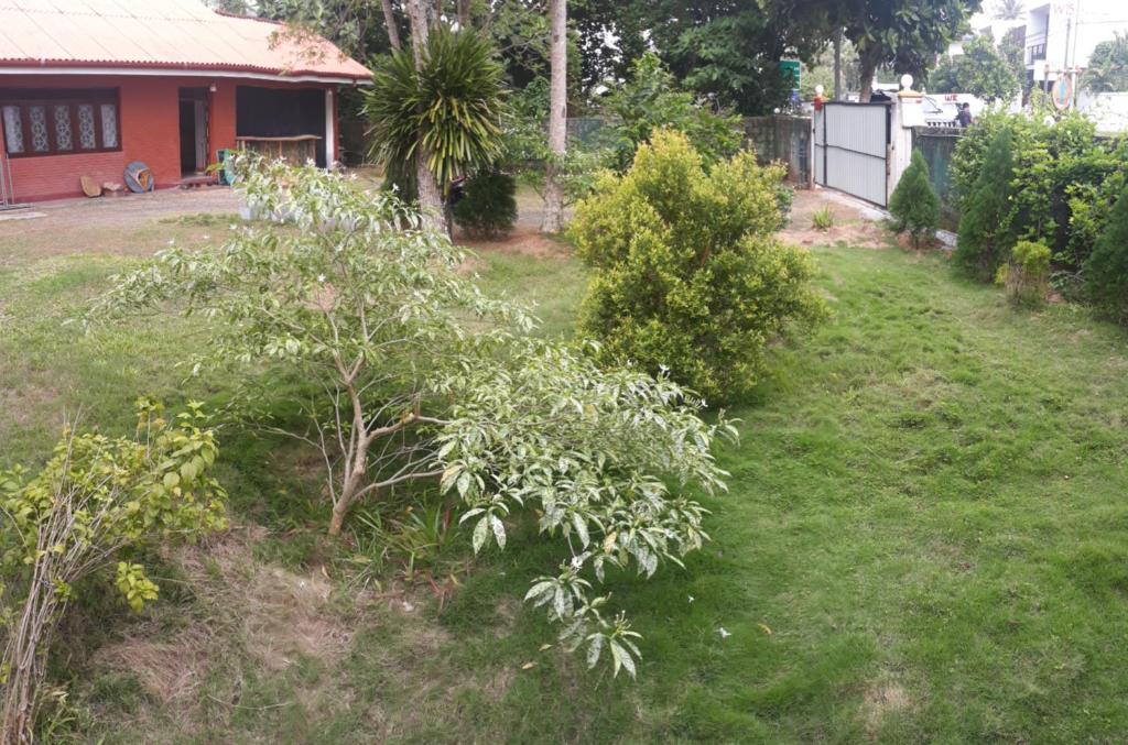 Zahrada ubytování Coco Hostels - Weligama