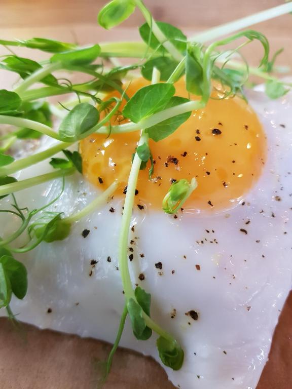 Apartamenty Elbląg - 18