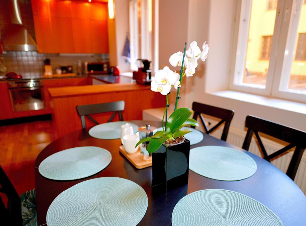 Kuchyň nebo kuchyňský kout v ubytování Apartment Diana Park