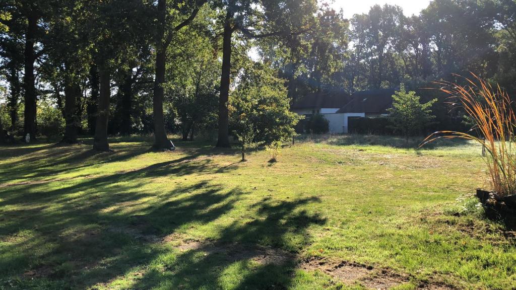 um campo com árvores e relva com uma casa ao fundo em Wohlfühlen In der Luft em Wesel