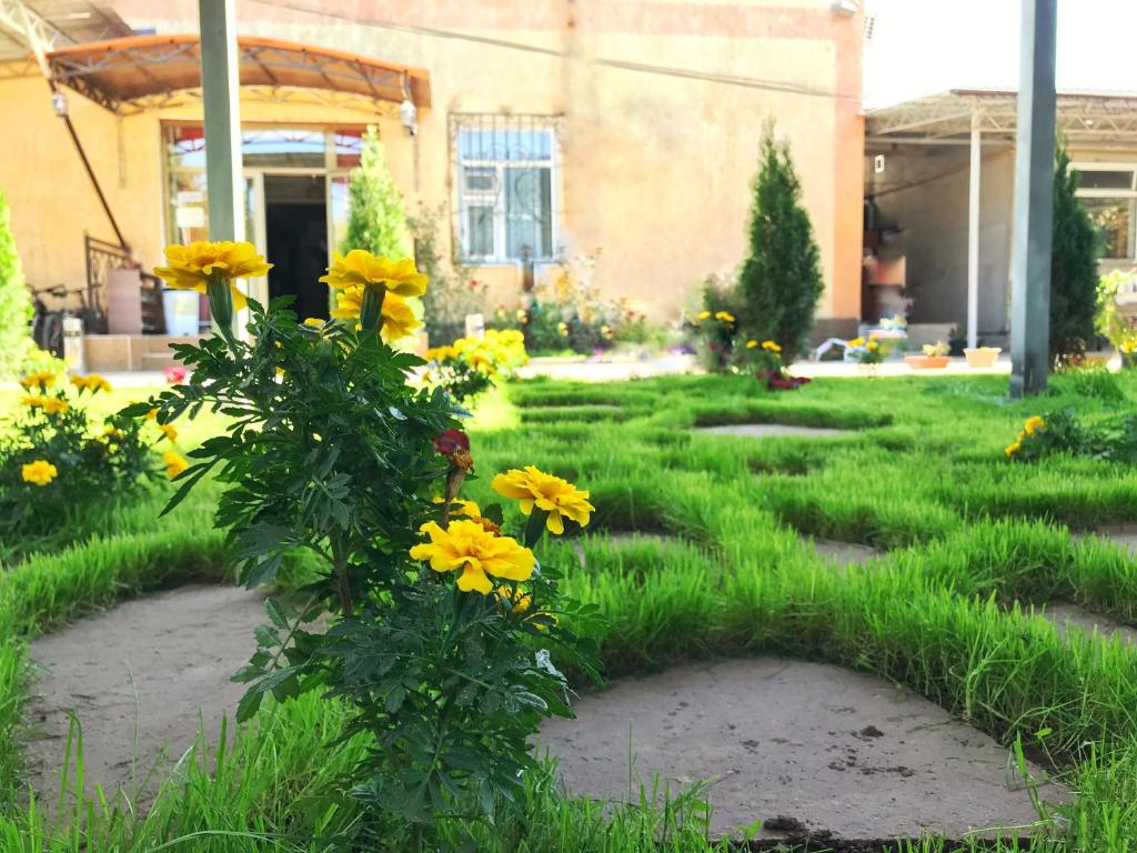 Zahrada ubytování Apple Hostel Bishkek