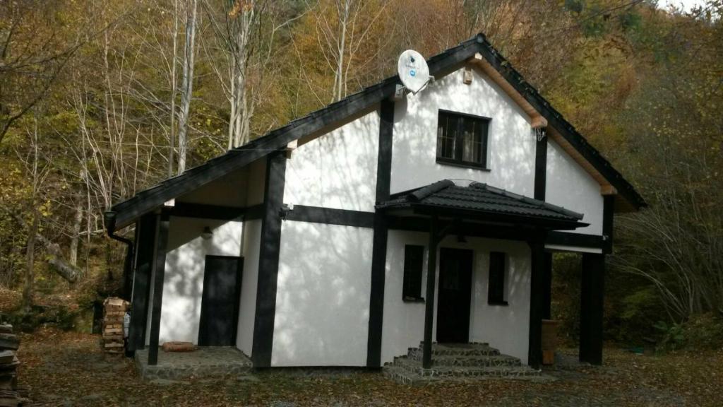 una pequeña casa blanca y negra en el bosque en Cabana Crenguta, en Sibiu