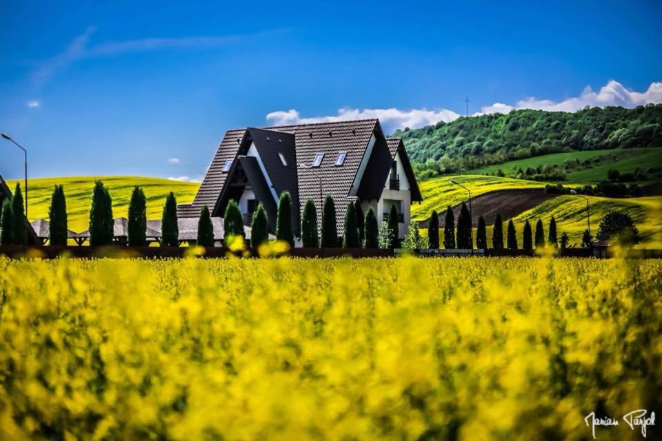 a house in the middle of a yellow field at Complex Hanul Cavalerului in Onești