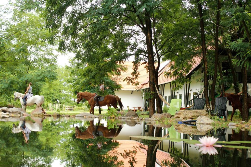 Zvířata v penzionu – hostince nebo okolí