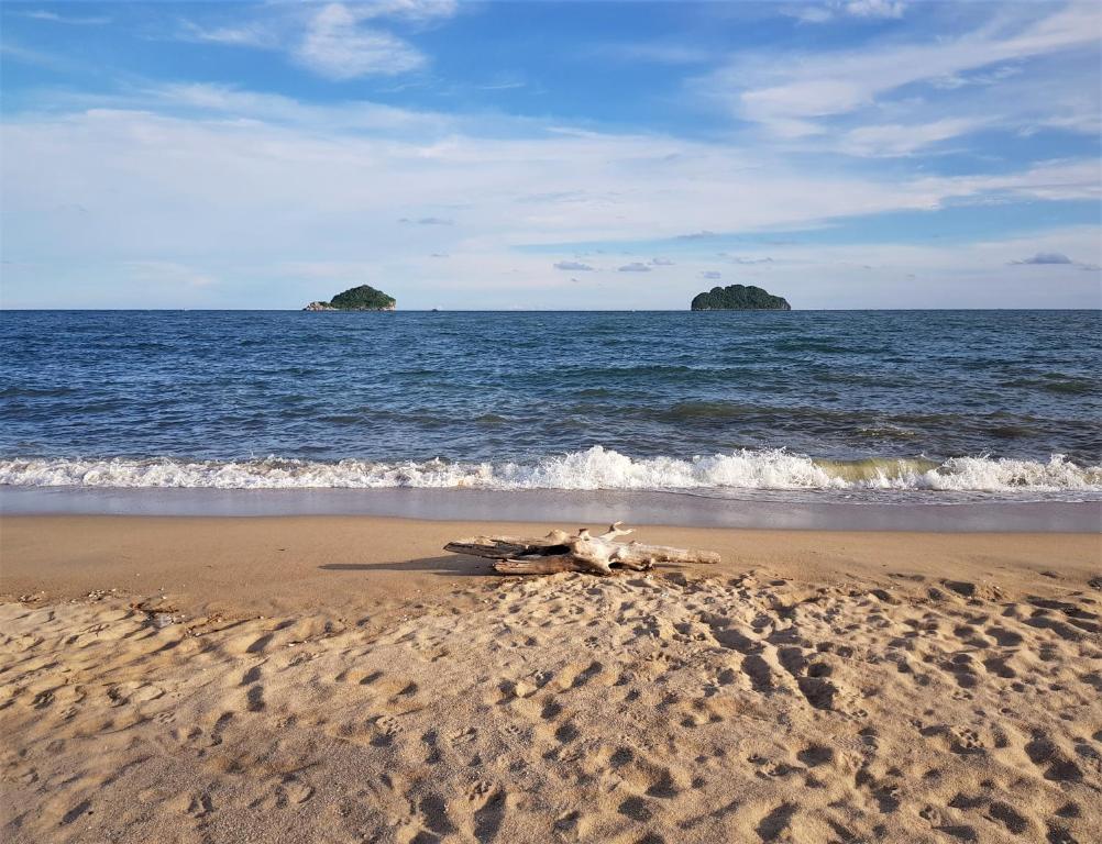 un animal muerto yaciendo en una playa cerca del océano en Sea Smile Resort, en Prachuap Khiri Khan