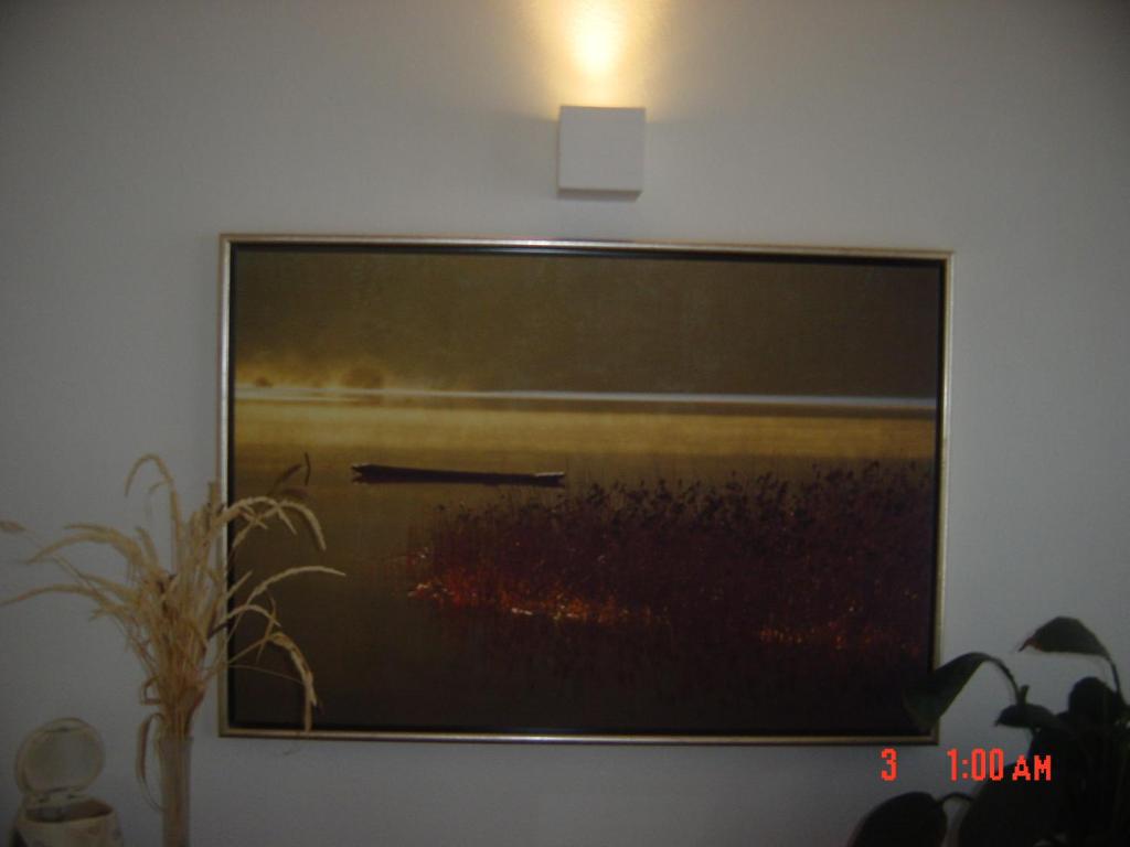 Fotografie z fotogalerie ubytování Apartments Vrdjan v destinaci Cerknica