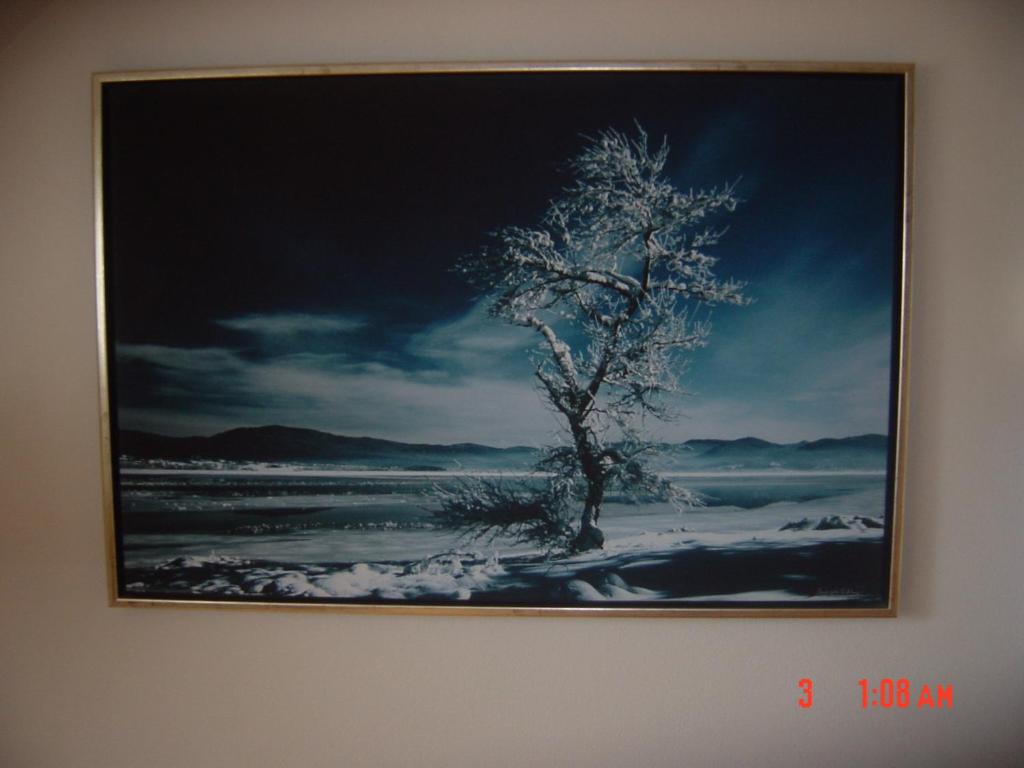 Fotografie z fotogalerie ubytování Apartments Vrdjan v destinaci Cerknica