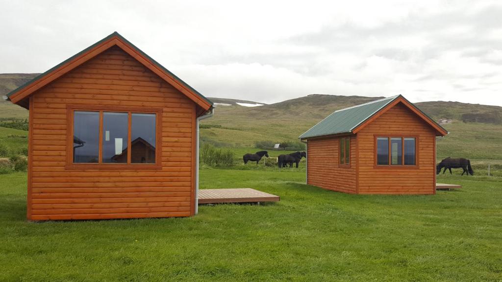 Náttúran í nágrenni sumarhússins