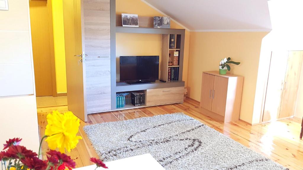TV/trung tâm giải trí tại Zlatibor Apartmani DM Tornik