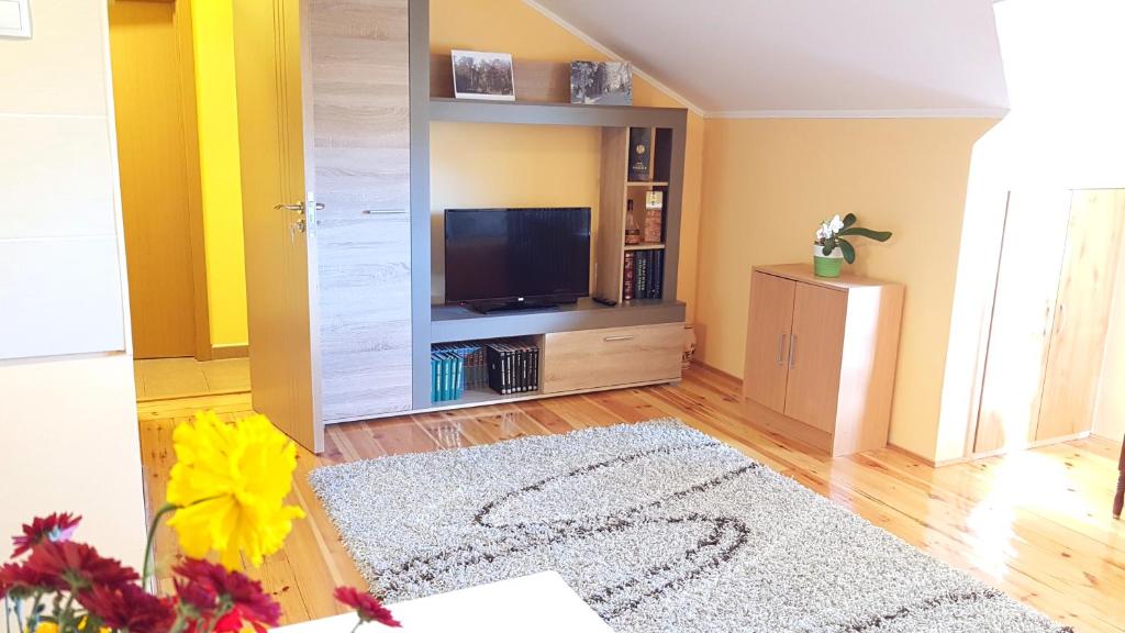 a living room with a television and a rug at Zlatibor Apartmani DM Tornik in Zlatibor
