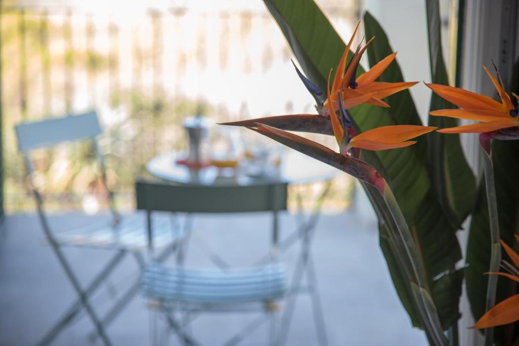 een tafel en een stoel in een kamer met een plant bij La Strelitzia Cervo Mare in Cervo