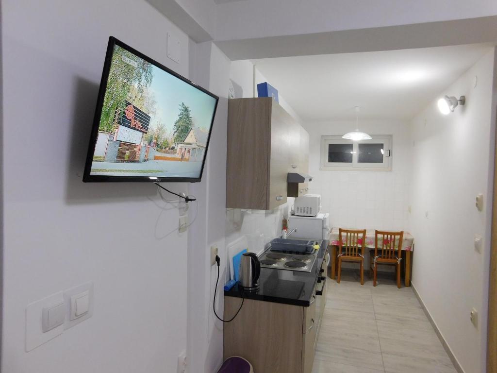 TV a/nebo společenská místnost v ubytování Apartments Leo Janjina