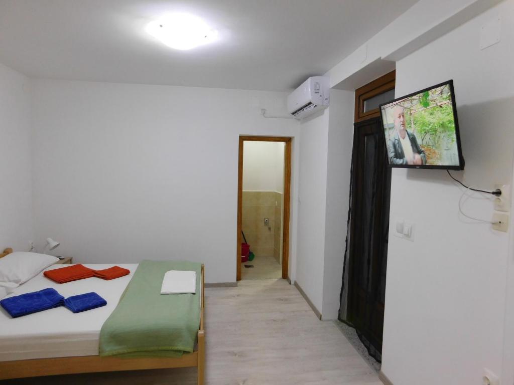 TV a/nebo společenská místnost v ubytování Apartments Leo Janjina