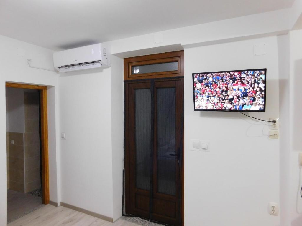 TV a/nebo společenská místnost v ubytování Apartments Leo Janjina