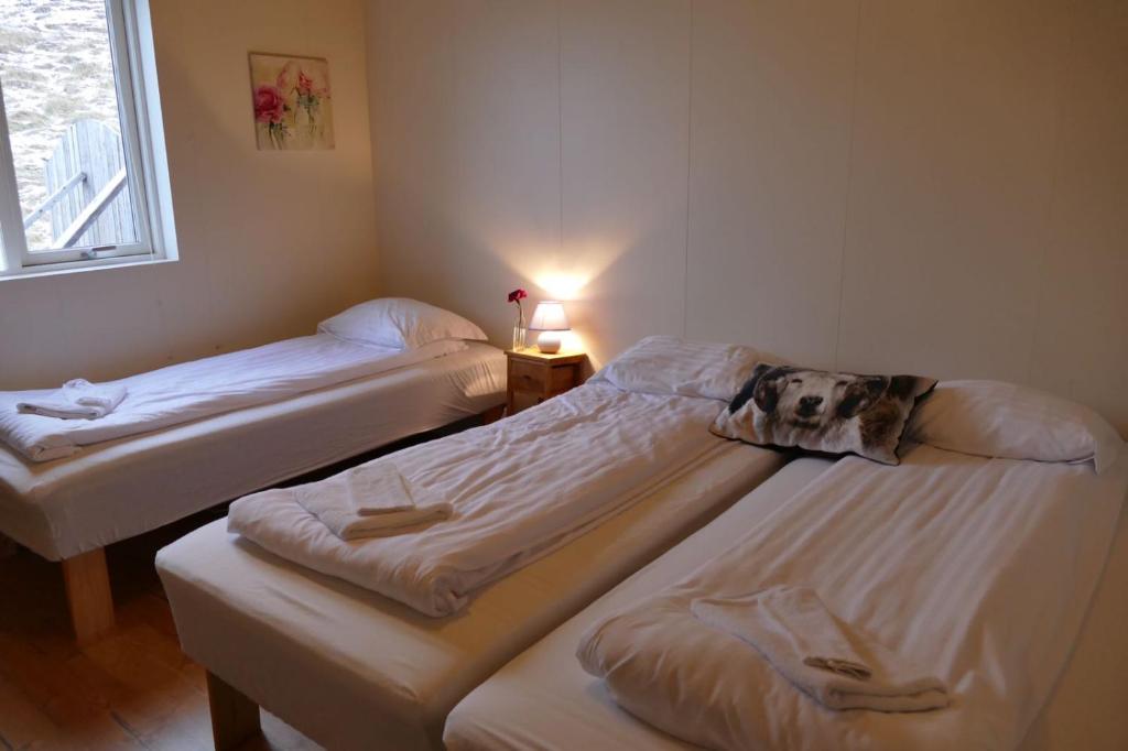 two twin beds in a room with a window at Litlabjarg Guesthouse in Hrafnabjorg