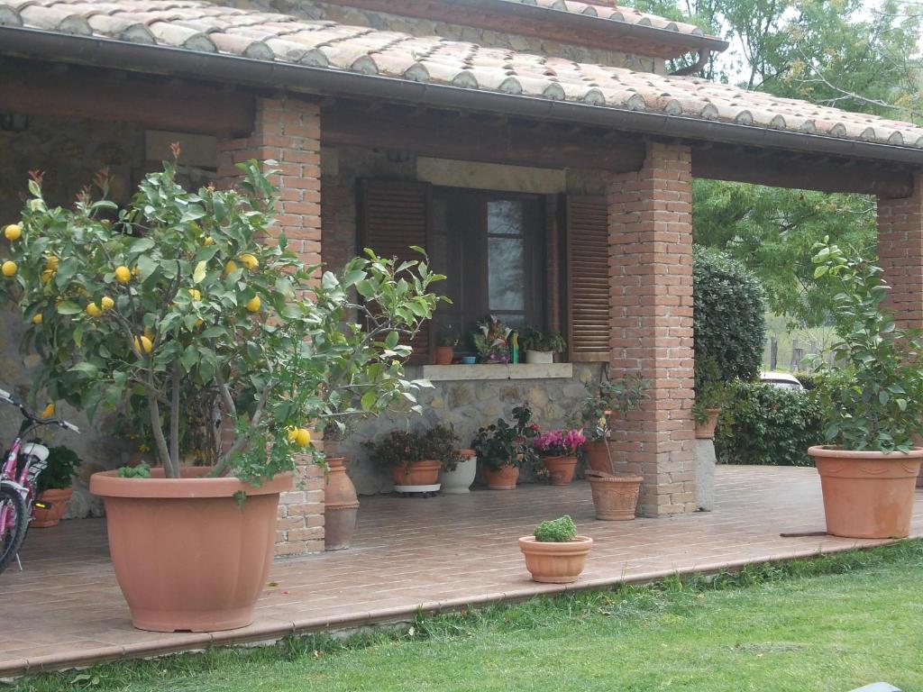 Ogród w obiekcie Agriturismo La Valle degli Ulivi