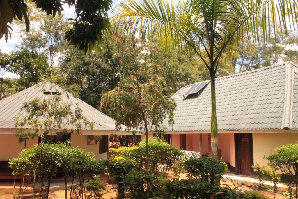 Salem Uganda Guesthouse في Mbale: منزل أمامه نخلة