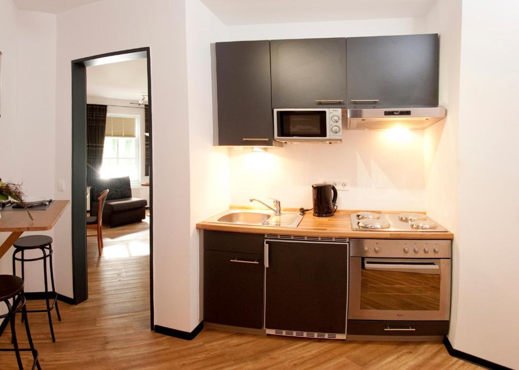 Kuchyň nebo kuchyňský kout v ubytování Hotel Waldquelle