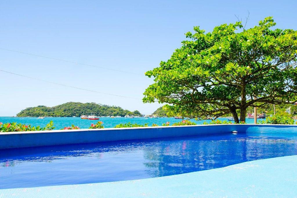 una piscina con un árbol y el agua en VIDA MANSA, en Bombinhas